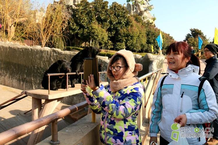 小小走青岛参观熊牧场